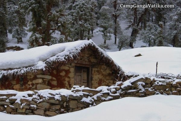 Chandrashila Tunganath trek