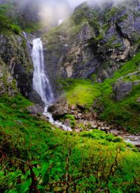 valley-of-flower-trek