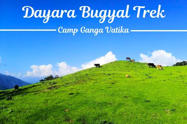 Dayara Bugyal Trek