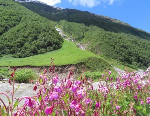 Valley of Flower trek