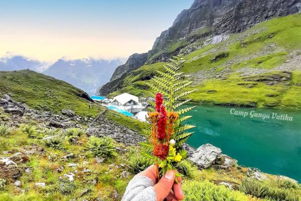 Valley of Flower